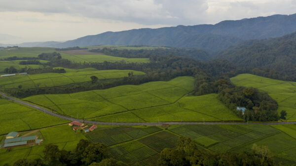 Rwanda Ranked 3rd Greenest Country in Africa